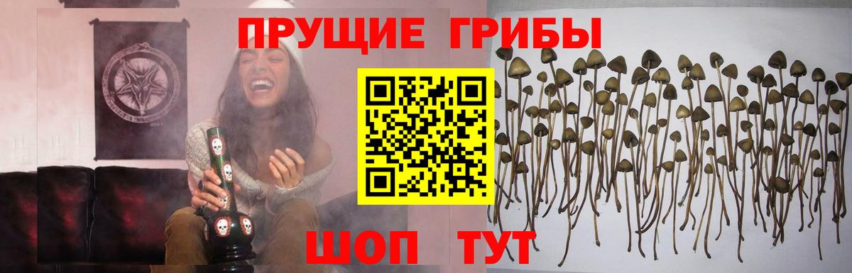Галлюциногенные грибы мицелий Тамбов